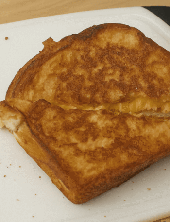 Classic Grilled Cheese Sandwich Cover